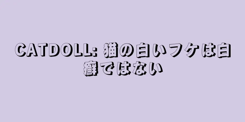 CATDOLL: 猫の白いフケは白癬ではない