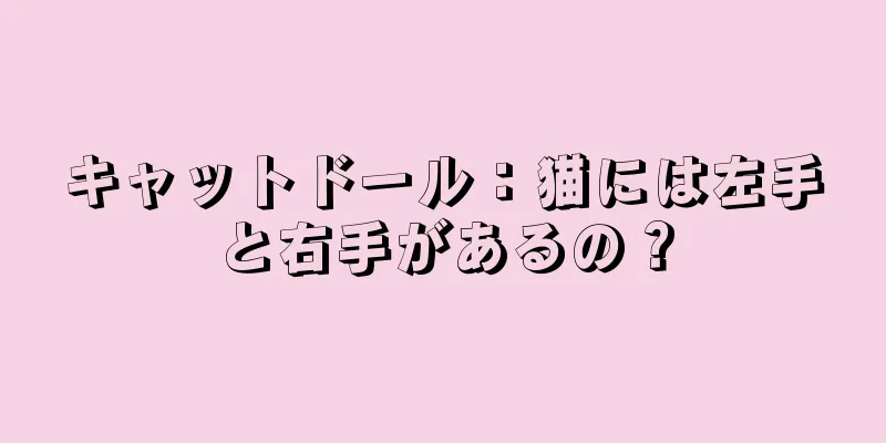 キャットドール：猫には左手と右手があるの？