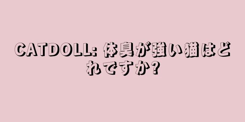 CATDOLL: 体臭が強い猫はどれですか?