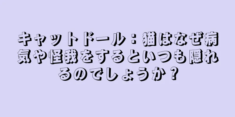 キャットドール：猫はなぜ病気や怪我をするといつも隠れるのでしょうか？