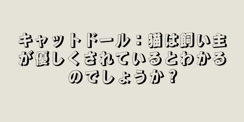 キャットドール：猫は飼い主が優しくされているとわかるのでしょうか？