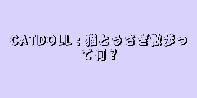 CATDOLL : 猫とうさぎ散歩って何？