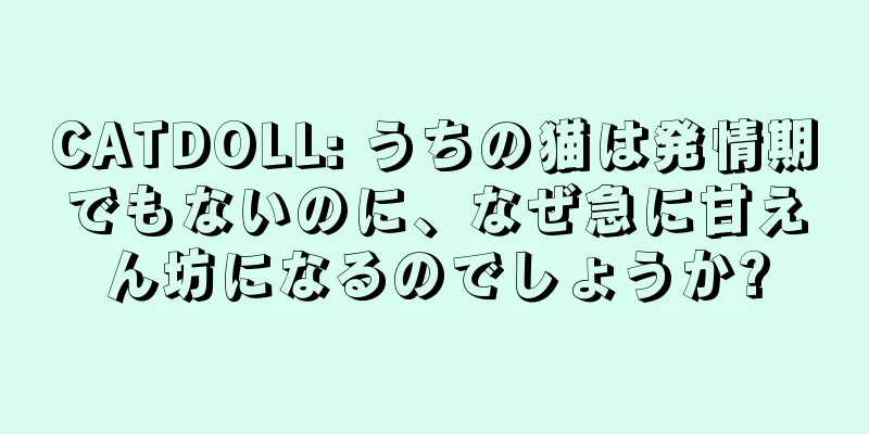 CATDOLL: うちの猫は発情期でもないのに、なぜ急に甘えん坊になるのでしょうか?