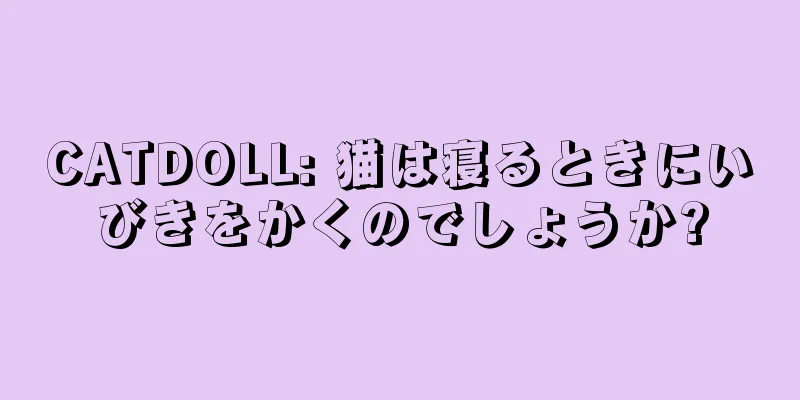 CATDOLL: 猫は寝るときにいびきをかくのでしょうか?