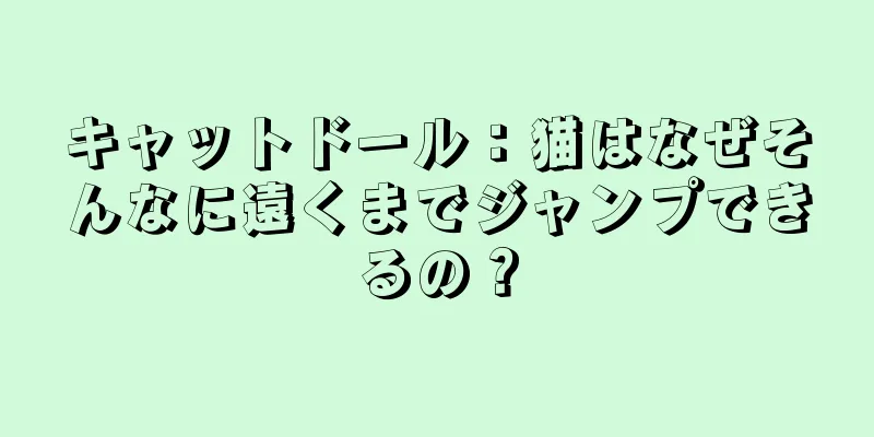 キャットドール：猫はなぜそんなに遠くまでジャンプできるの？