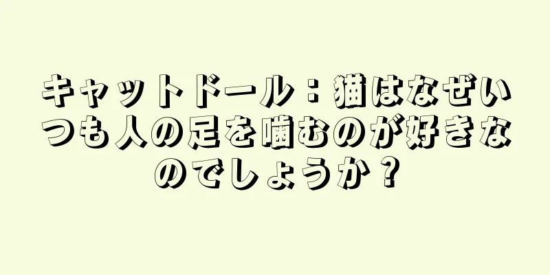 キャットドール：猫はなぜいつも人の足を噛むのが好きなのでしょうか？