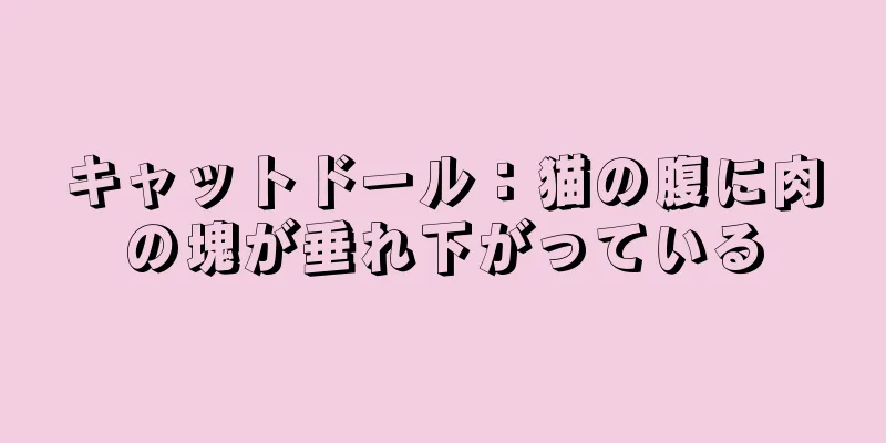 キャットドール：猫の腹に肉の塊が垂れ下がっている
