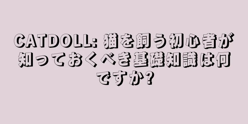 CATDOLL: 猫を飼う初心者が知っておくべき基礎知識は何ですか?