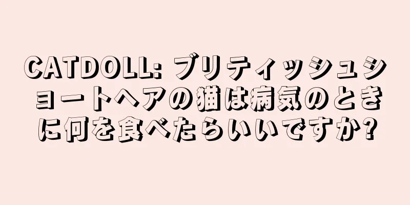 CATDOLL: ブリティッシュショートヘアの猫は病気のときに何を食べたらいいですか?