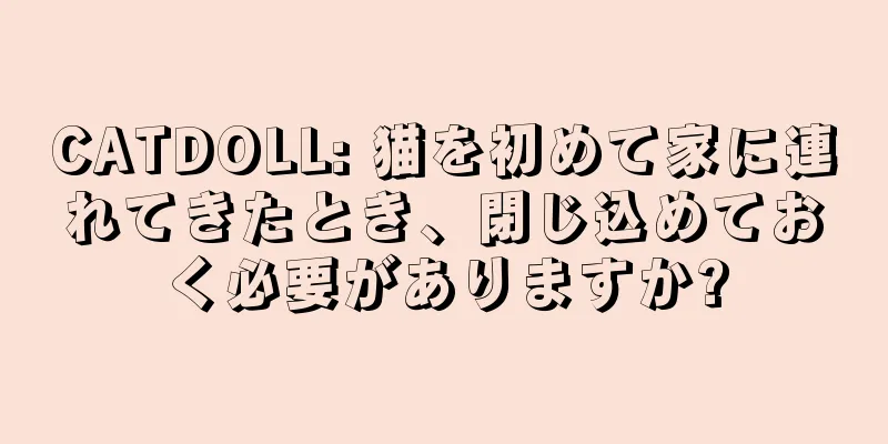 CATDOLL: 猫を初めて家に連れてきたとき、閉じ込めておく必要がありますか?
