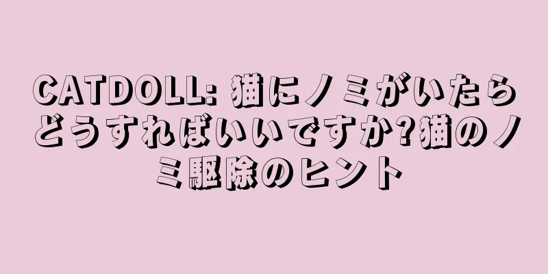 CATDOLL: 猫にノミがいたらどうすればいいですか?猫のノミ駆除のヒント