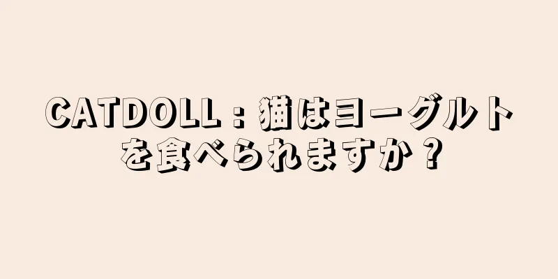 CATDOLL : 猫はヨーグルトを食べられますか？