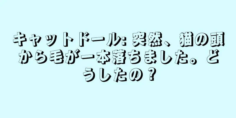 キャットドール: 突然、猫の頭から毛が一本落ちました。どうしたの？