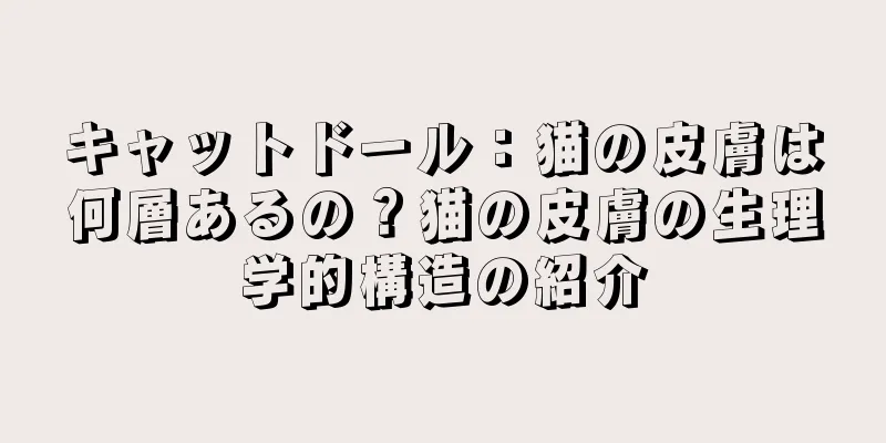 キャットドール：猫の皮膚は何層あるの？猫の皮膚の生理学的構造の紹介
