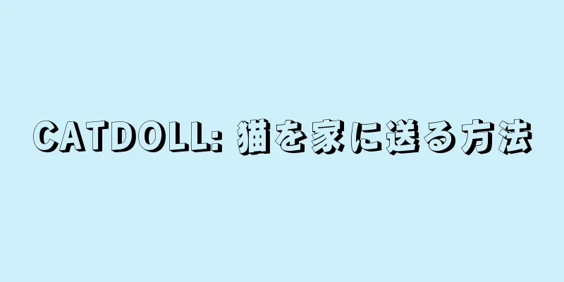 CATDOLL: 猫を家に送る方法