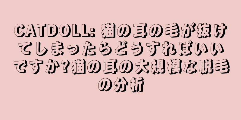 CATDOLL: 猫の耳の毛が抜けてしまったらどうすればいいですか?猫の耳の大規模な脱毛の分析