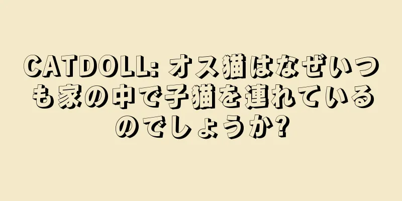CATDOLL: オス猫はなぜいつも家の中で子猫を連れているのでしょうか?