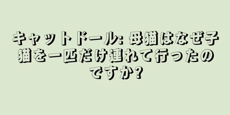 キャットドール: 母猫はなぜ子猫を一匹だけ連れて行ったのですか?