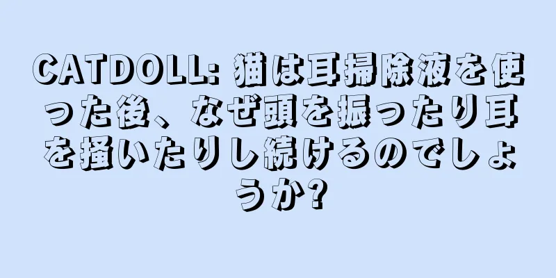 CATDOLL: 猫は耳掃除液を使った後、なぜ頭を振ったり耳を掻いたりし続けるのでしょうか?