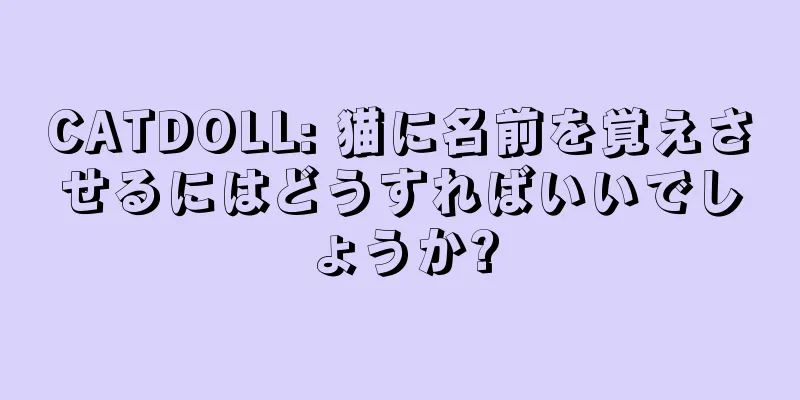 CATDOLL: 猫に名前を覚えさせるにはどうすればいいでしょうか?