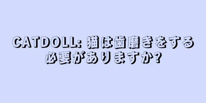CATDOLL: 猫は歯磨きをする必要がありますか?