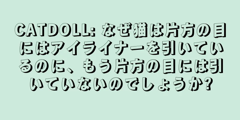 CATDOLL: なぜ猫は片方の目にはアイライナーを引いているのに、もう片方の目には引いていないのでしょうか?