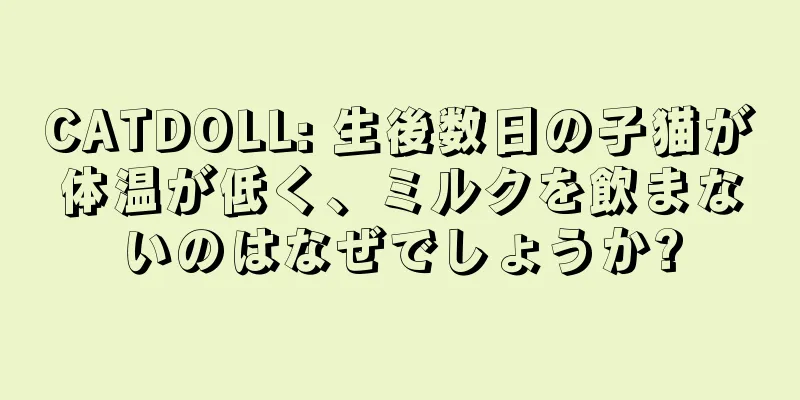 CATDOLL: 生後数日の子猫が体温が低く、ミルクを飲まないのはなぜでしょうか?