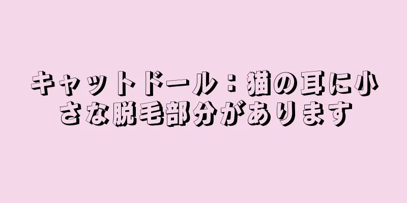 キャットドール：猫の耳に小さな脱毛部分があります
