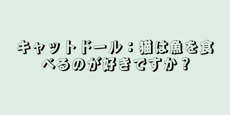 キャットドール：猫は魚を食べるのが好きですか？
