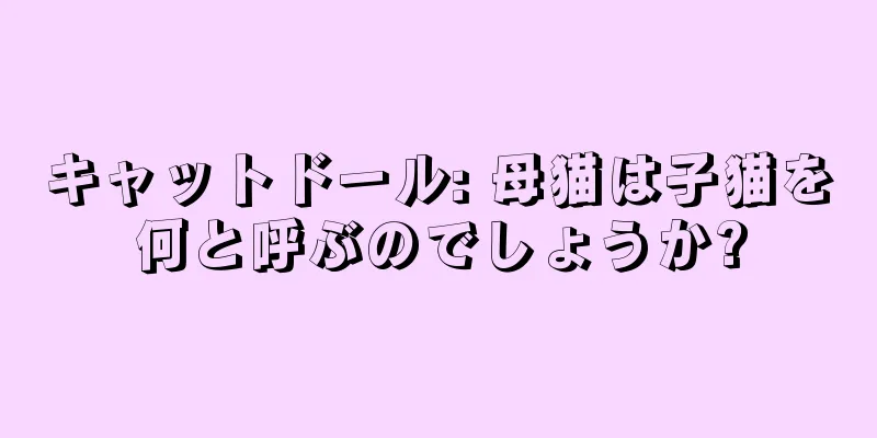 キャットドール: 母猫は子猫を何と呼ぶのでしょうか?