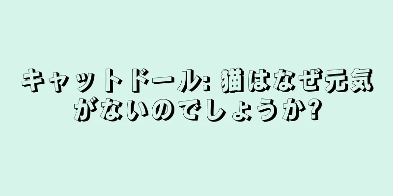 キャットドール: 猫はなぜ元気がないのでしょうか?