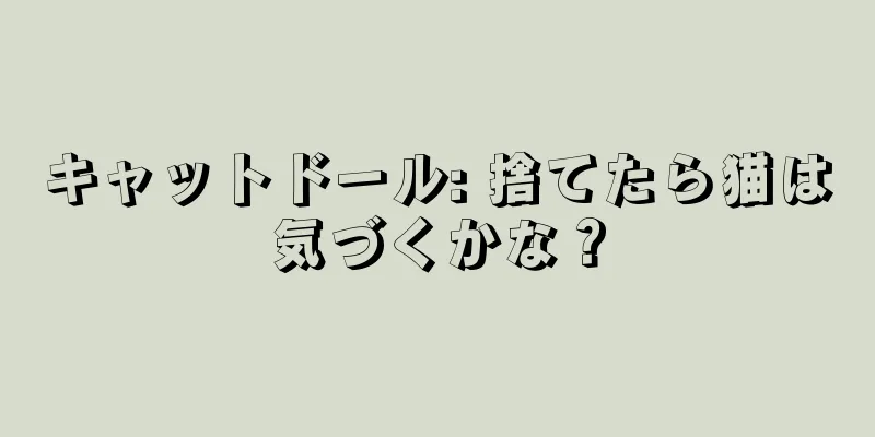 キャットドール: 捨てたら猫は気づくかな？