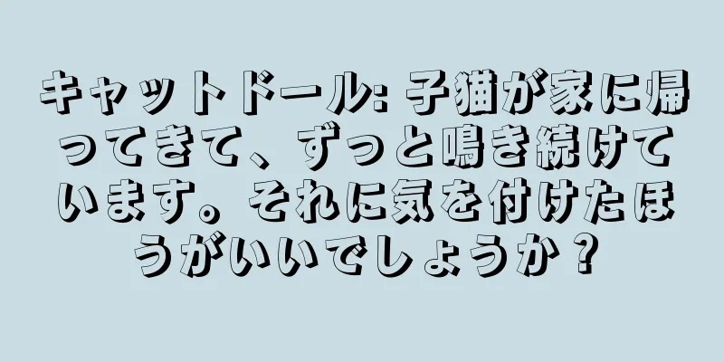 キャットドール: 子猫が家に帰ってきて、ずっと鳴き続けています。それに気を付けたほうがいいでしょうか？