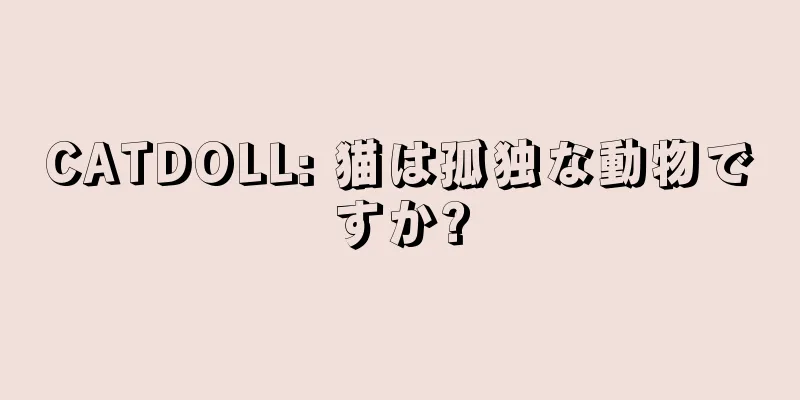 CATDOLL: 猫は孤独な動物ですか?