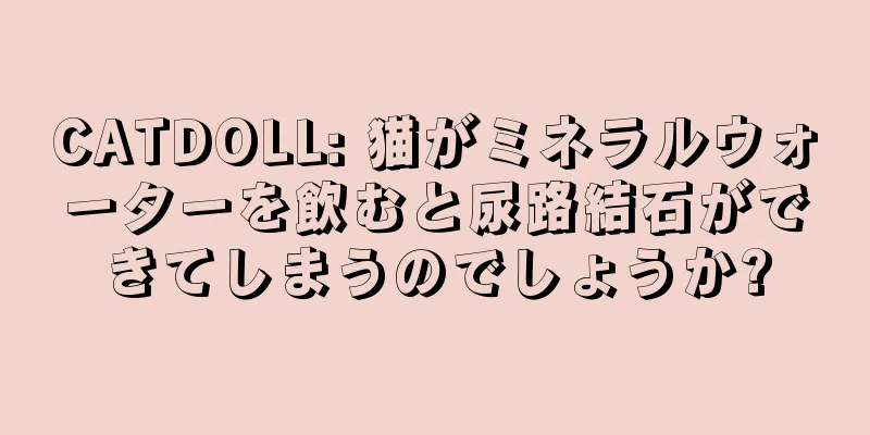 CATDOLL: 猫がミネラルウォーターを飲むと尿路結石ができてしまうのでしょうか?