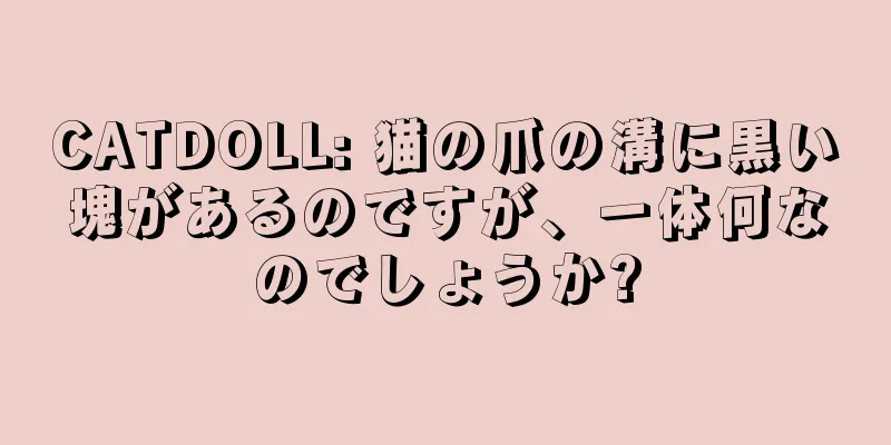 CATDOLL: 猫の爪の溝に黒い塊があるのですが、一体何なのでしょうか?