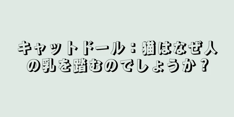 キャットドール：猫はなぜ人の乳を踏むのでしょうか？