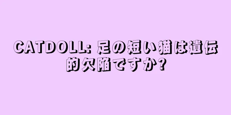 CATDOLL: 足の短い猫は遺伝的欠陥ですか?