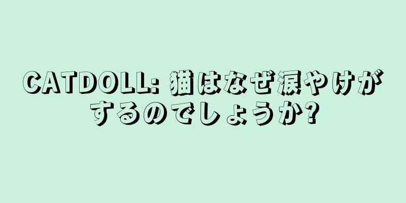 CATDOLL: 猫はなぜ涙やけがするのでしょうか?