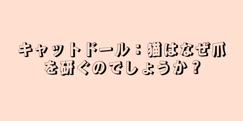 キャットドール：猫はなぜ爪を研ぐのでしょうか？