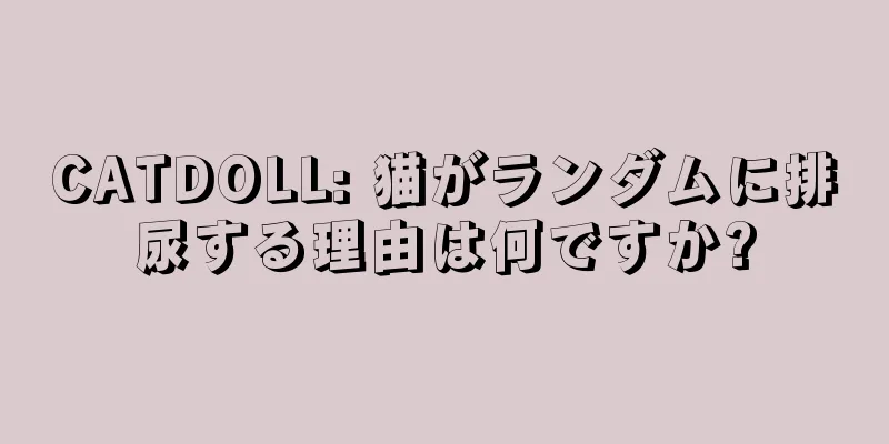 CATDOLL: 猫がランダムに排尿する理由は何ですか?
