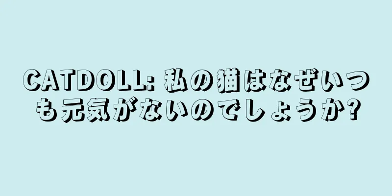 CATDOLL: 私の猫はなぜいつも元気がないのでしょうか?