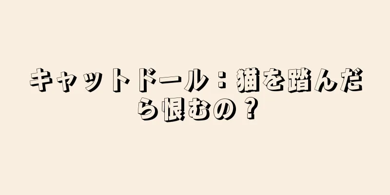 キャットドール：猫を踏んだら恨むの？