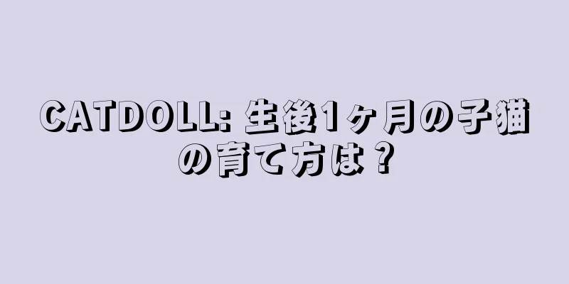 CATDOLL: 生後1ヶ月の子猫の育て方は？