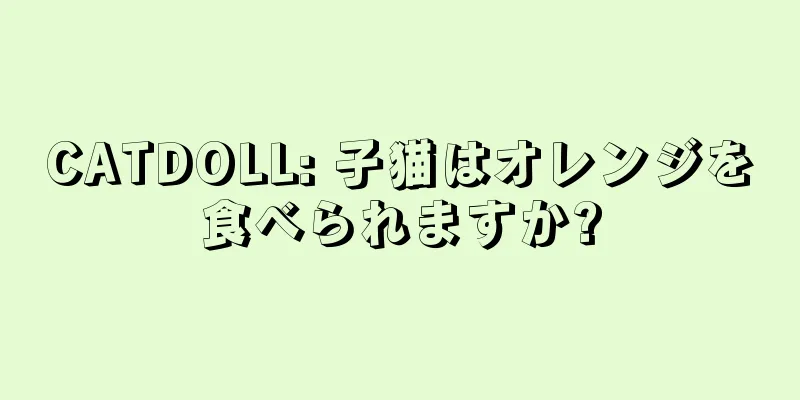 CATDOLL: 子猫はオレンジを食べられますか?