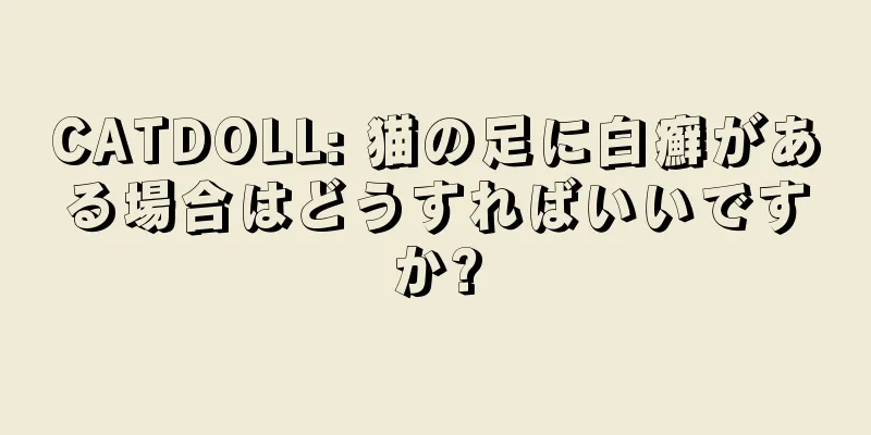 CATDOLL: 猫の足に白癬がある場合はどうすればいいですか?