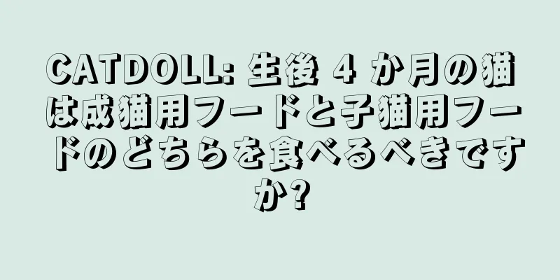 CATDOLL: 生後 4 か月の猫は成猫用フードと子猫用フードのどちらを食べるべきですか?