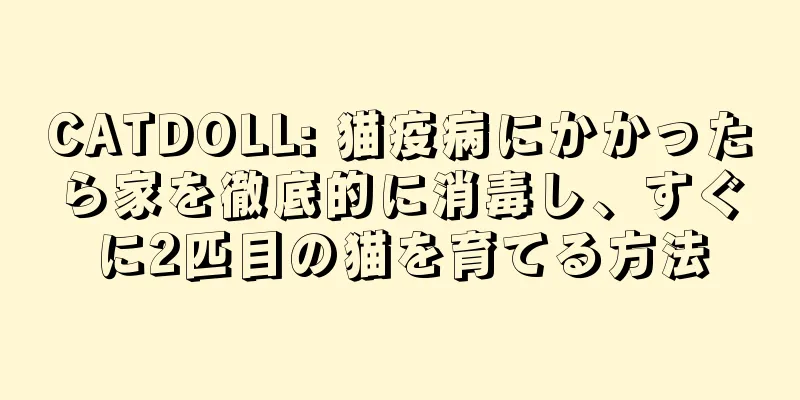 CATDOLL: 猫疫病にかかったら家を徹底的に消毒し、すぐに2匹目の猫を育てる方法