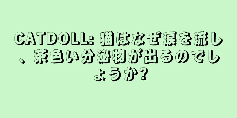 CATDOLL: 猫はなぜ涙を流し、茶色い分泌物が出るのでしょうか?