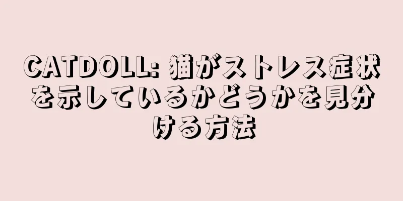 CATDOLL: 猫がストレス症状を示しているかどうかを見分ける方法
